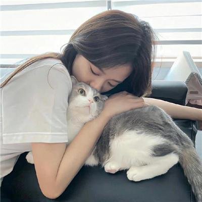 恋爱青春梦海报